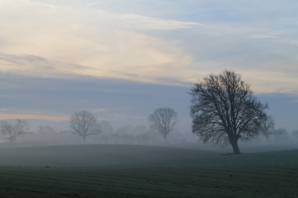 Norddeutschland Im Nebel 霧の中の北ドイツ